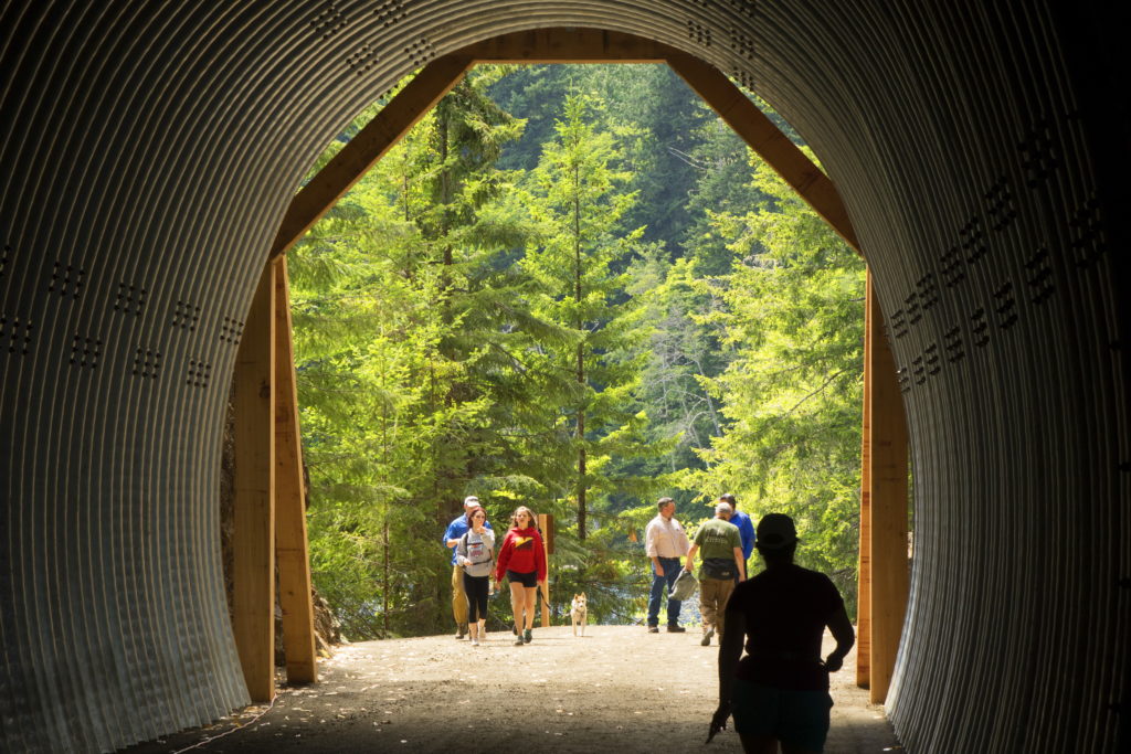 Runners on a trail through a tunnel with trees