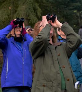 group of birders with binoculars on the Olympic Peninsula