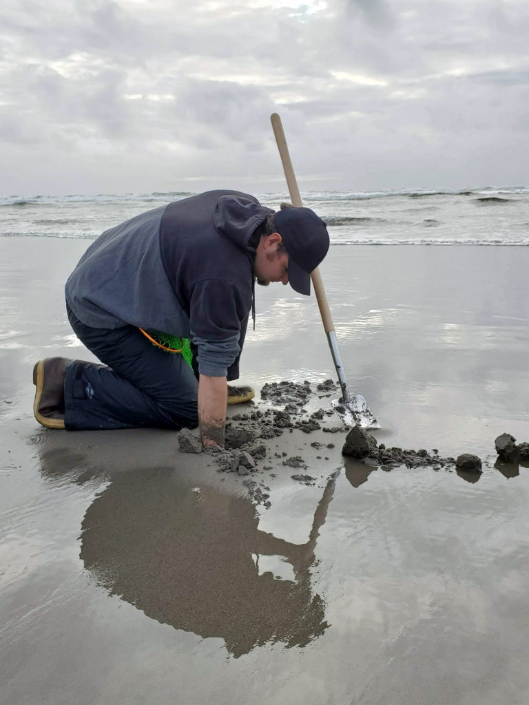 A man digs for razor clams on the beach Mocrocks
