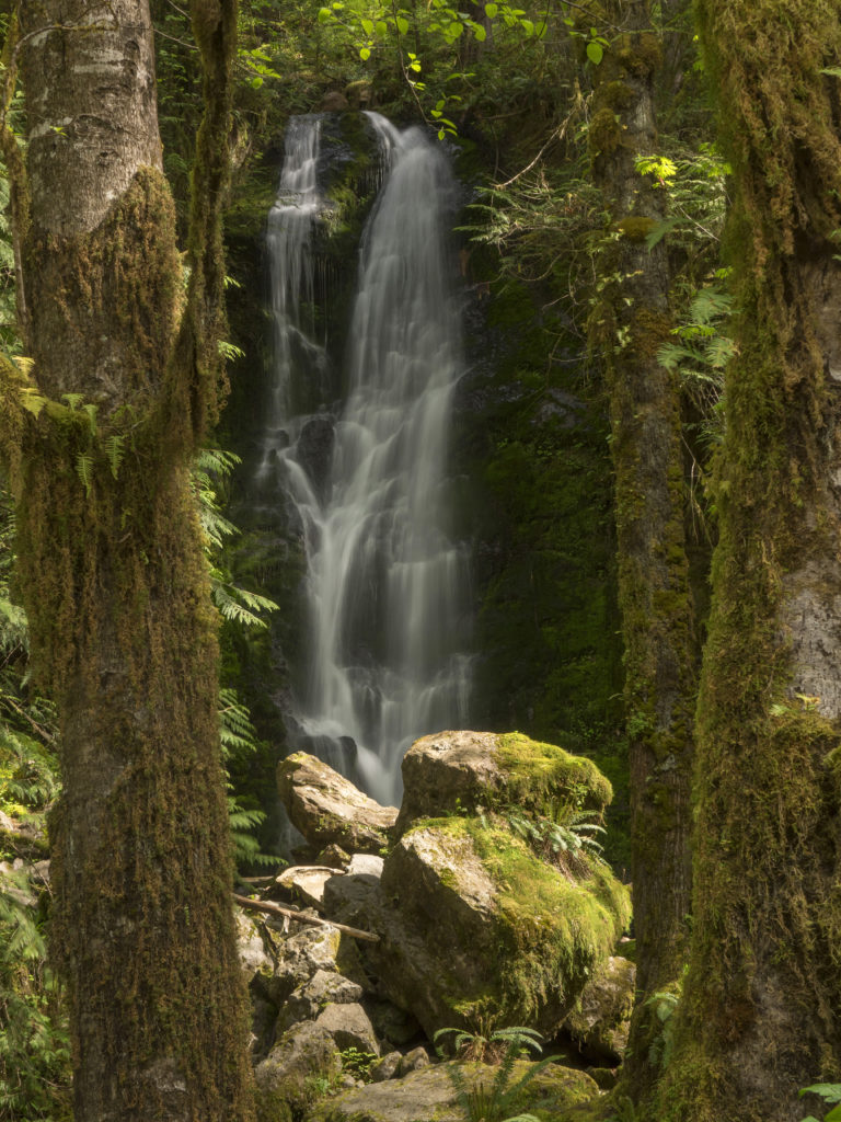Merriman Falls near Lake Quinault