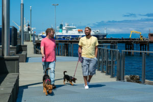 Strolling the Waterfront Promenade in Port Angeles, WA