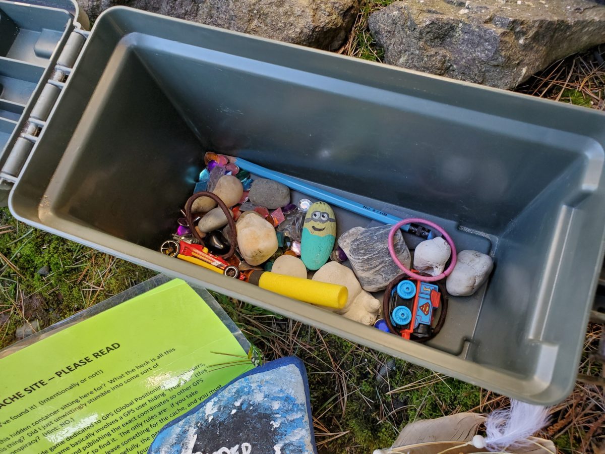 Everything to Know About Geocaching The Olympic Peninsula