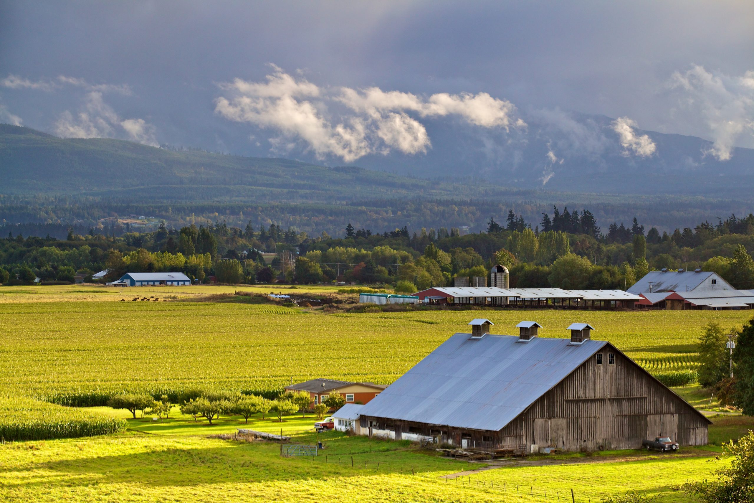 Visit Sequim & the Dungeness Valley | The Olympic Peninsula, WA