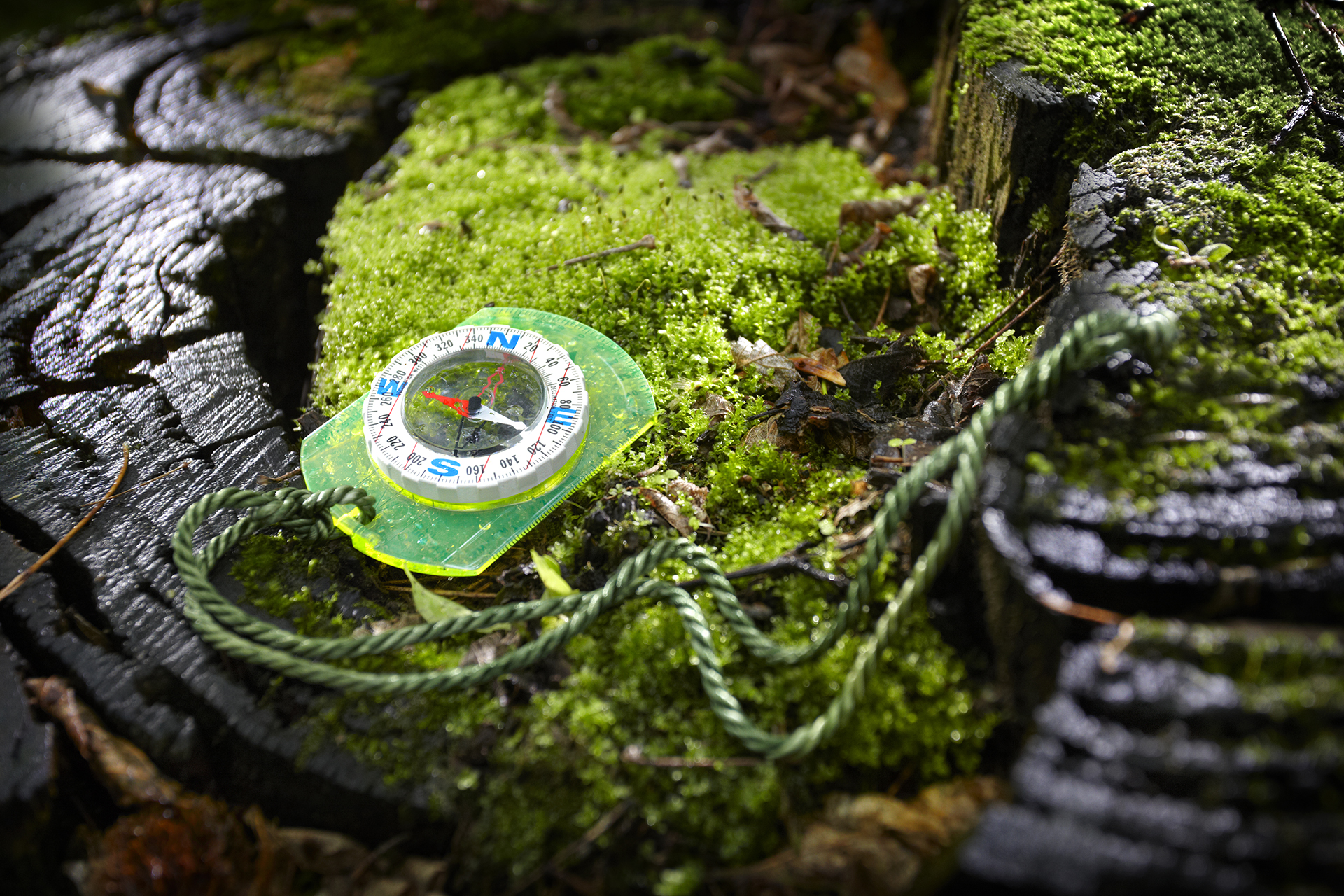 Everything to Know About Geocaching