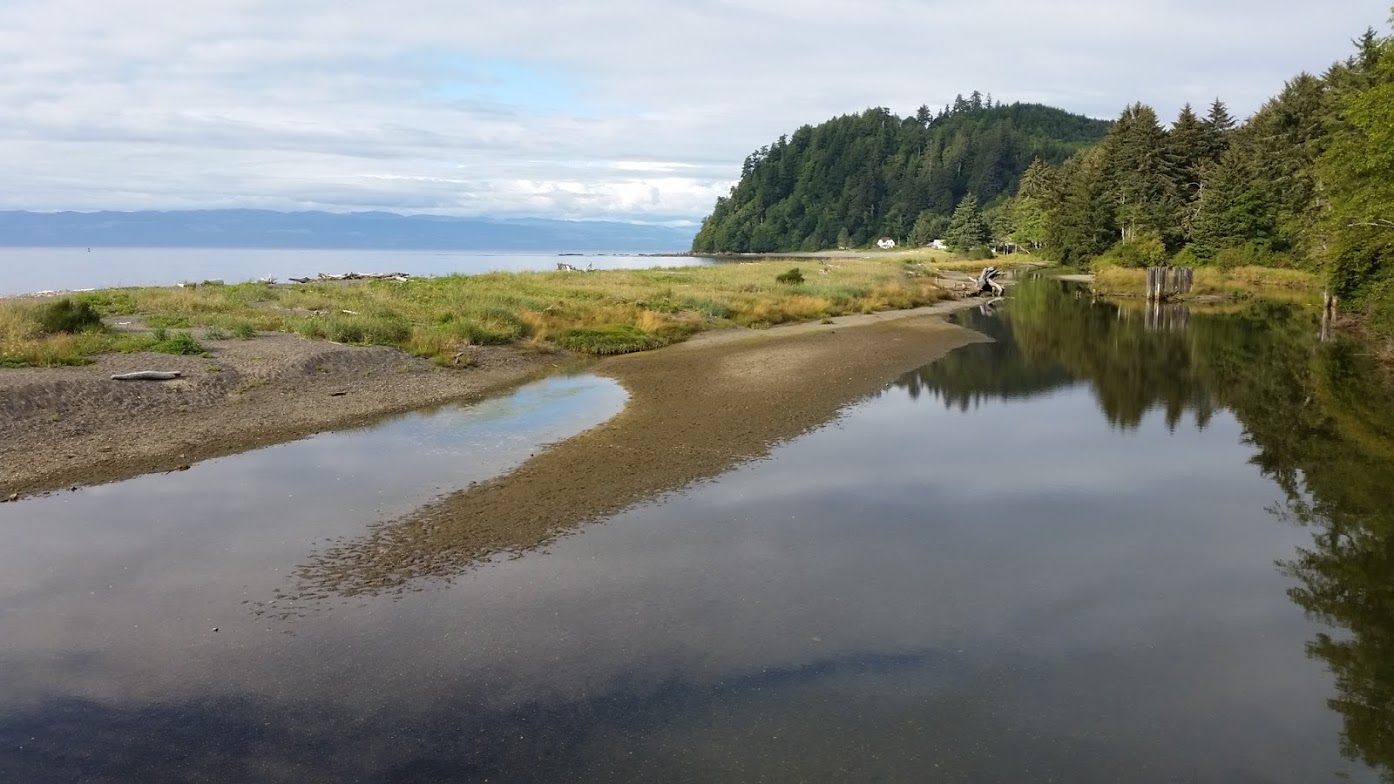 Visit Clallam Bay Spit  The Olympic Peninsula, WA