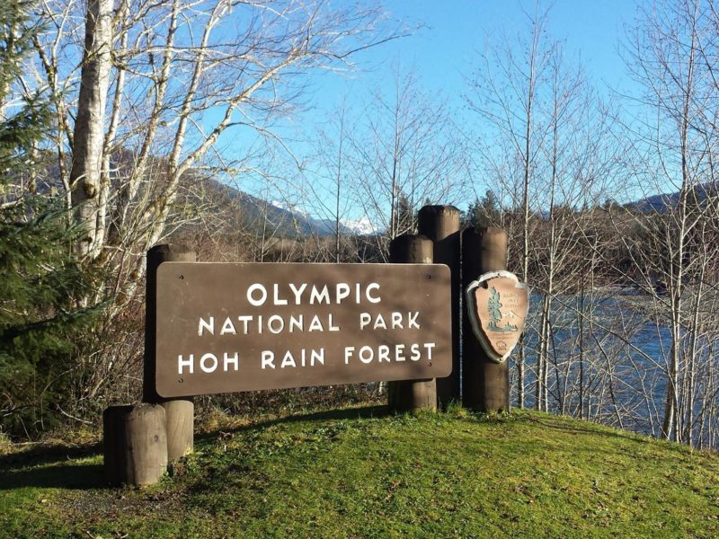 Hoh Rain Forest sign in Olympic National Park