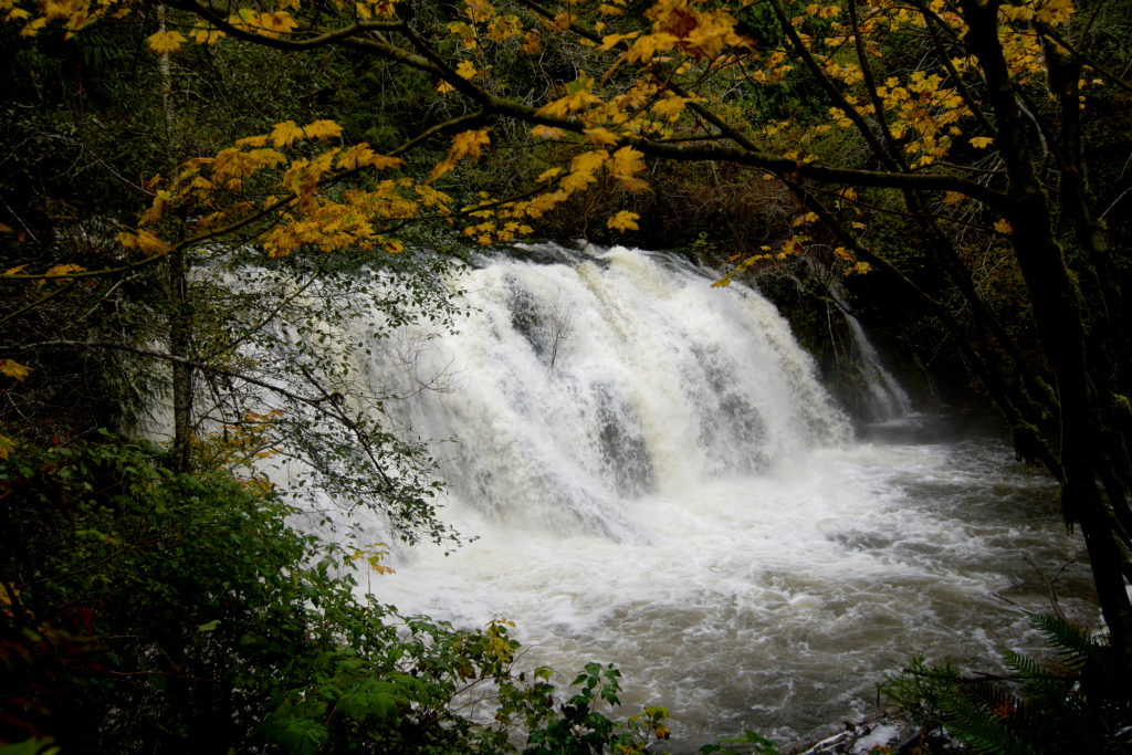 Olympic Peninsula Waterfall Trail | The Olympic Peninsula, WA