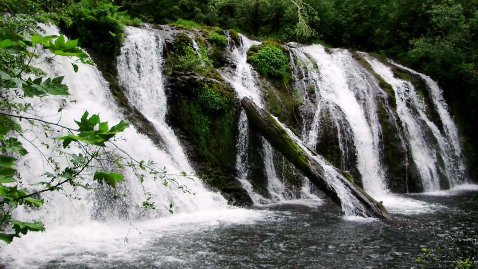 Beaver Waterfall on the Olympic Peninsula Waterfall Trail