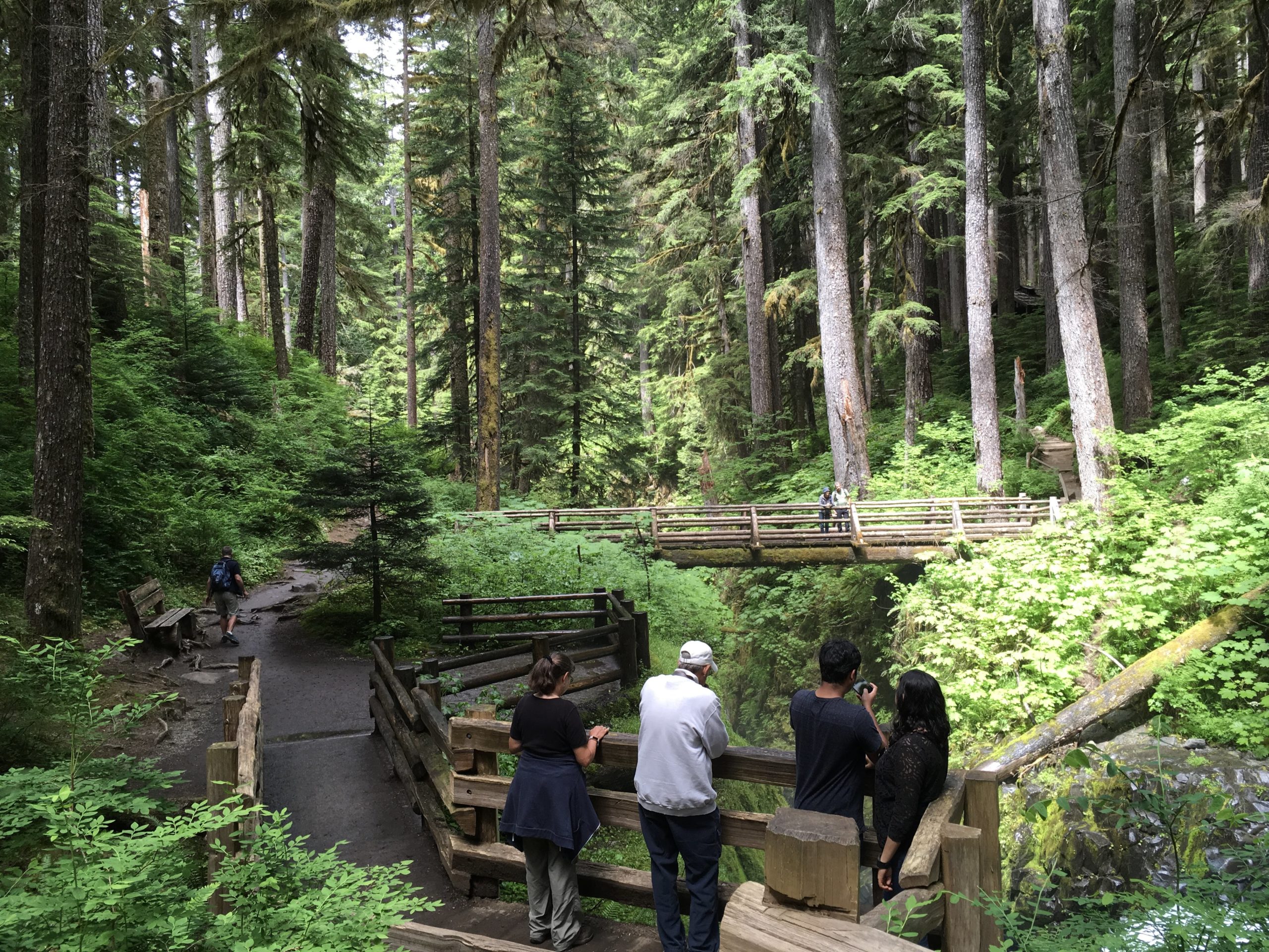 Hikers on Sol Duc Falls Trail