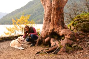 Dog and owner relax at Lake Crescent on the Olympic Peninsula
