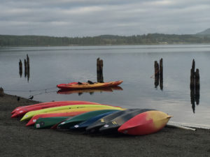 kayaks near the water