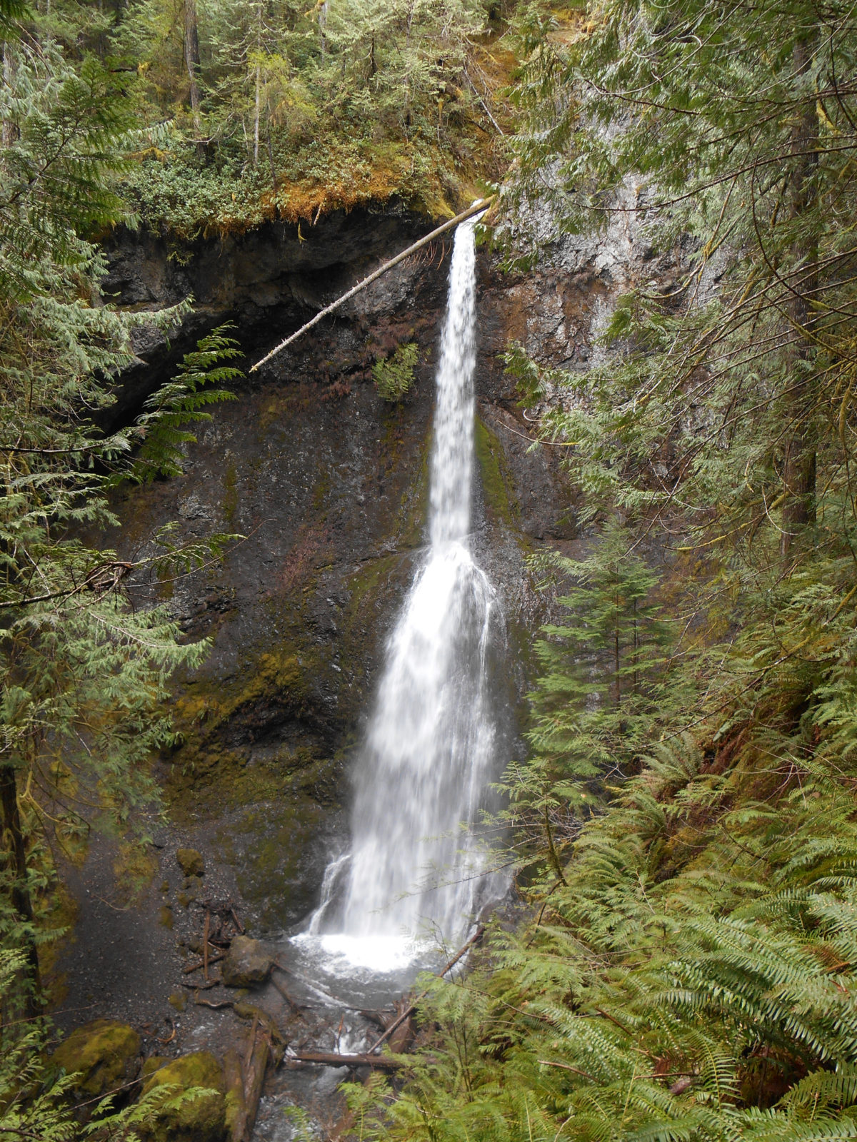 The Best 3-Night Getaway from Portland | The Olympic Peninsula