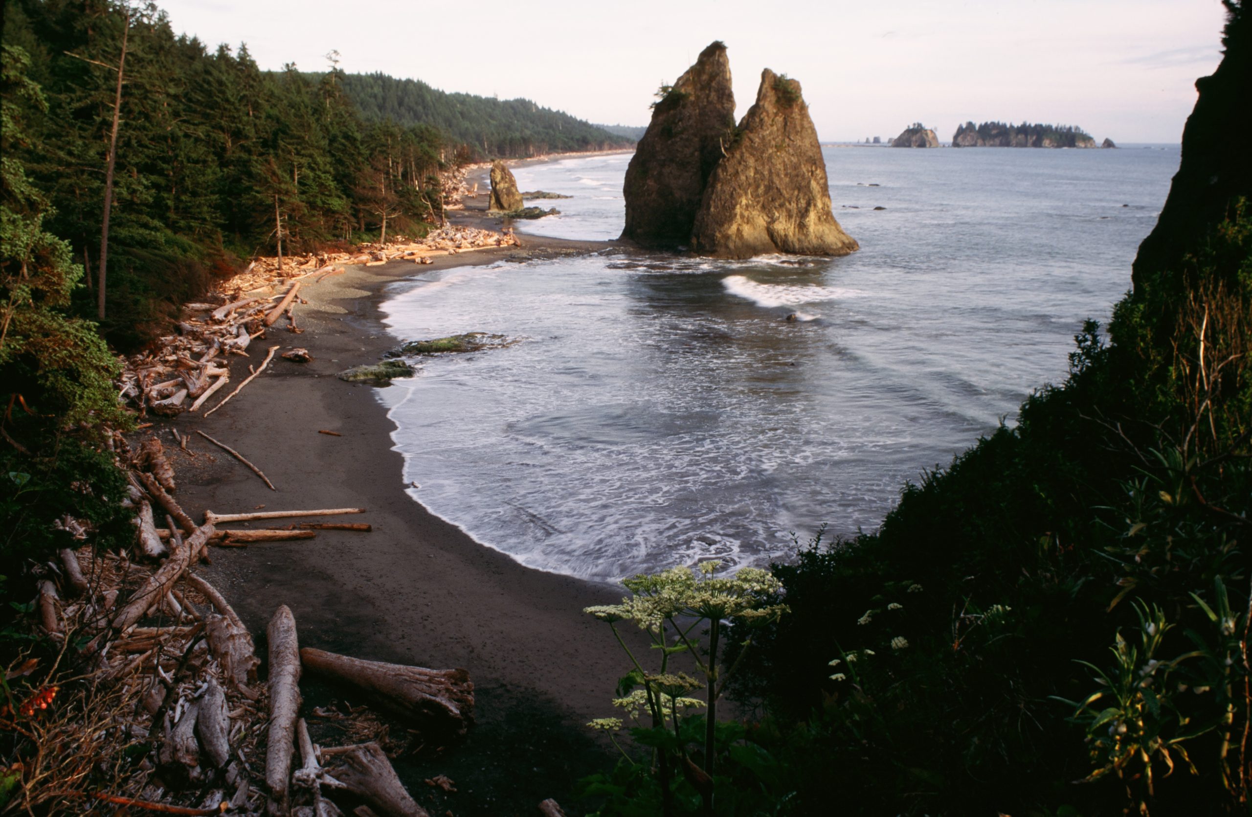 Olympic National Park The Diversity And Beauty Of Olympic National Olympic National Park The Diversity And Beauty Of Olympic National