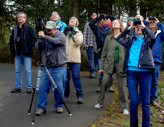 photo of Birders on a birdwalk at Railroad Bridge Park on the Olympic Peninsula