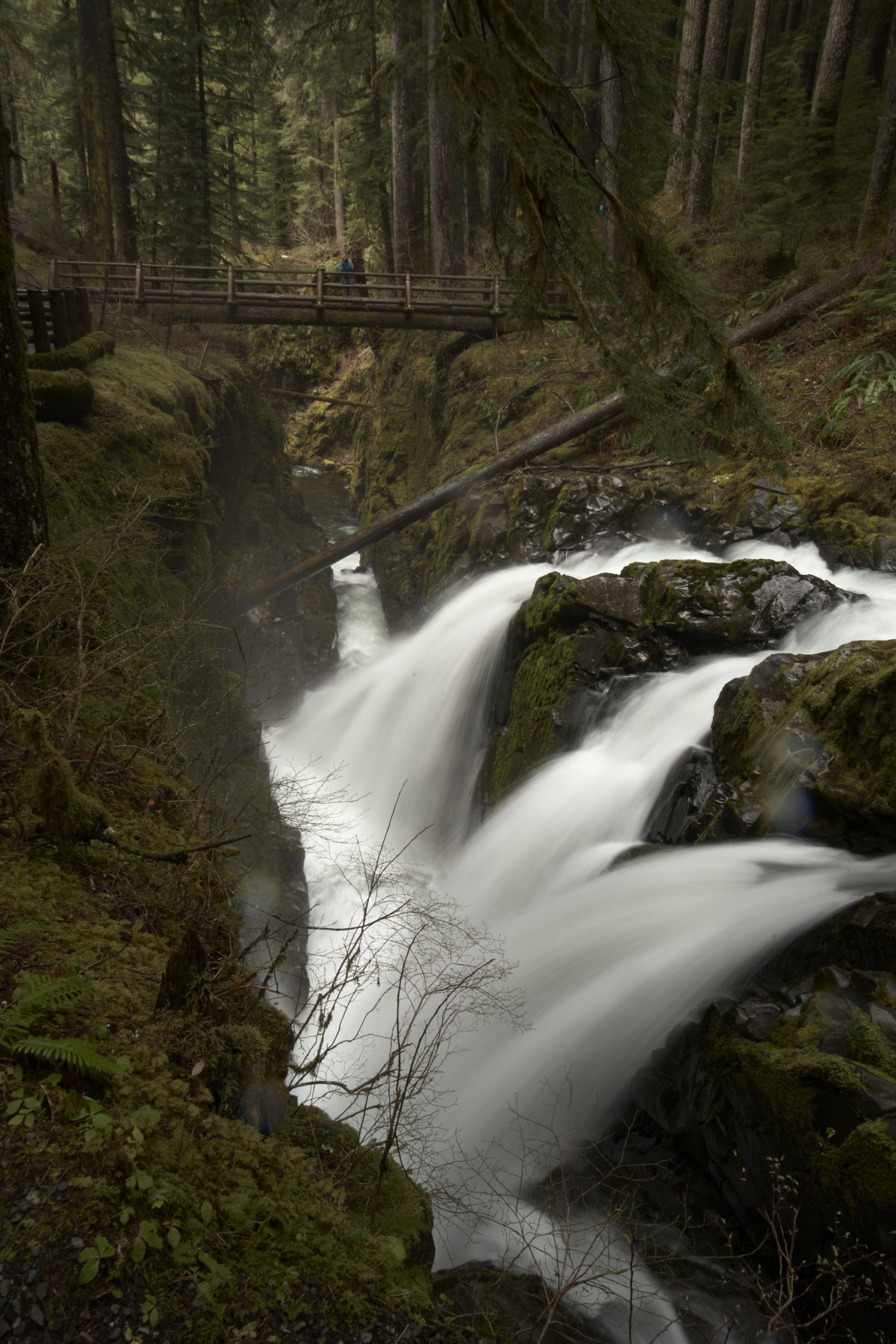 Olympic Peninsula Waterfall Trail The Olympic Peninsula Wa