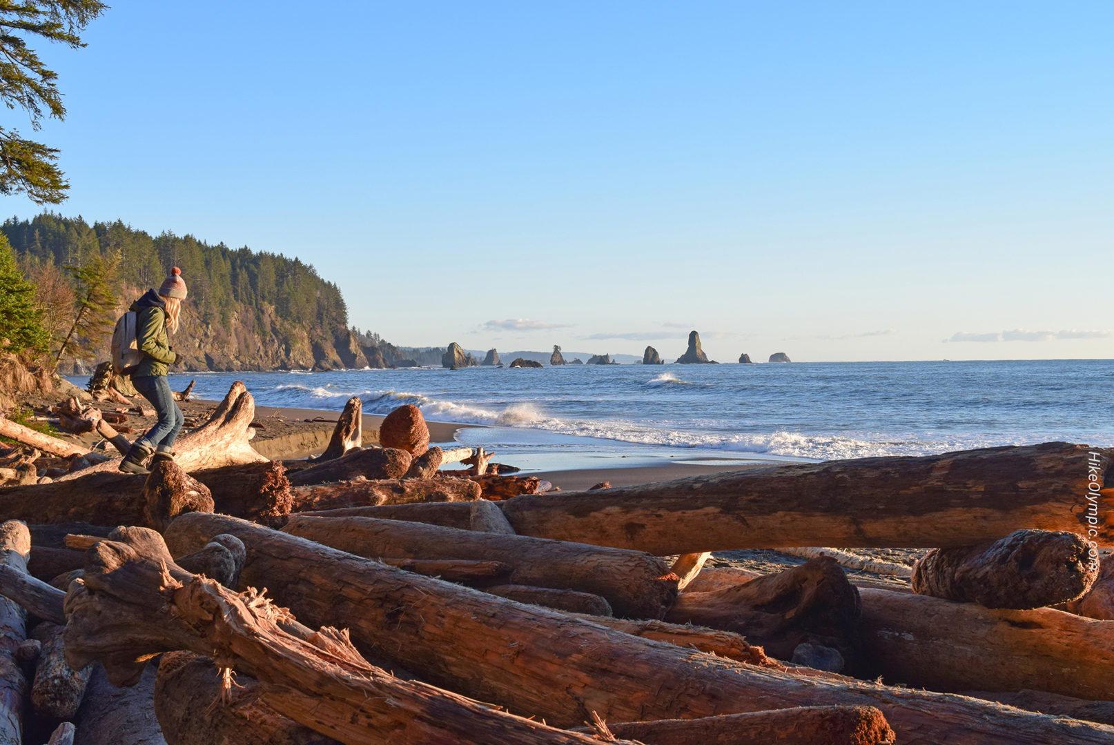Visit Forks and La Push Things To Do The Olympic Peninsula