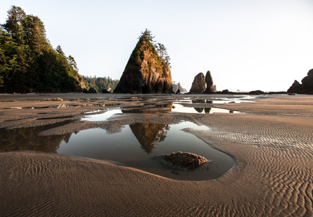 Things To Do On The Olympic Peninsula In Washington State