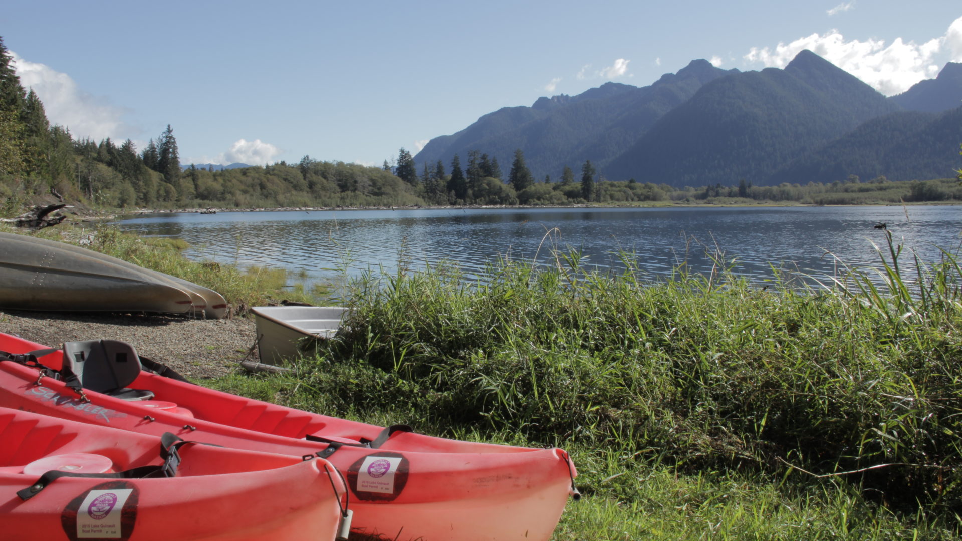 Visit Lake Quinault Things To Do The Olympic Peninsula, WA
