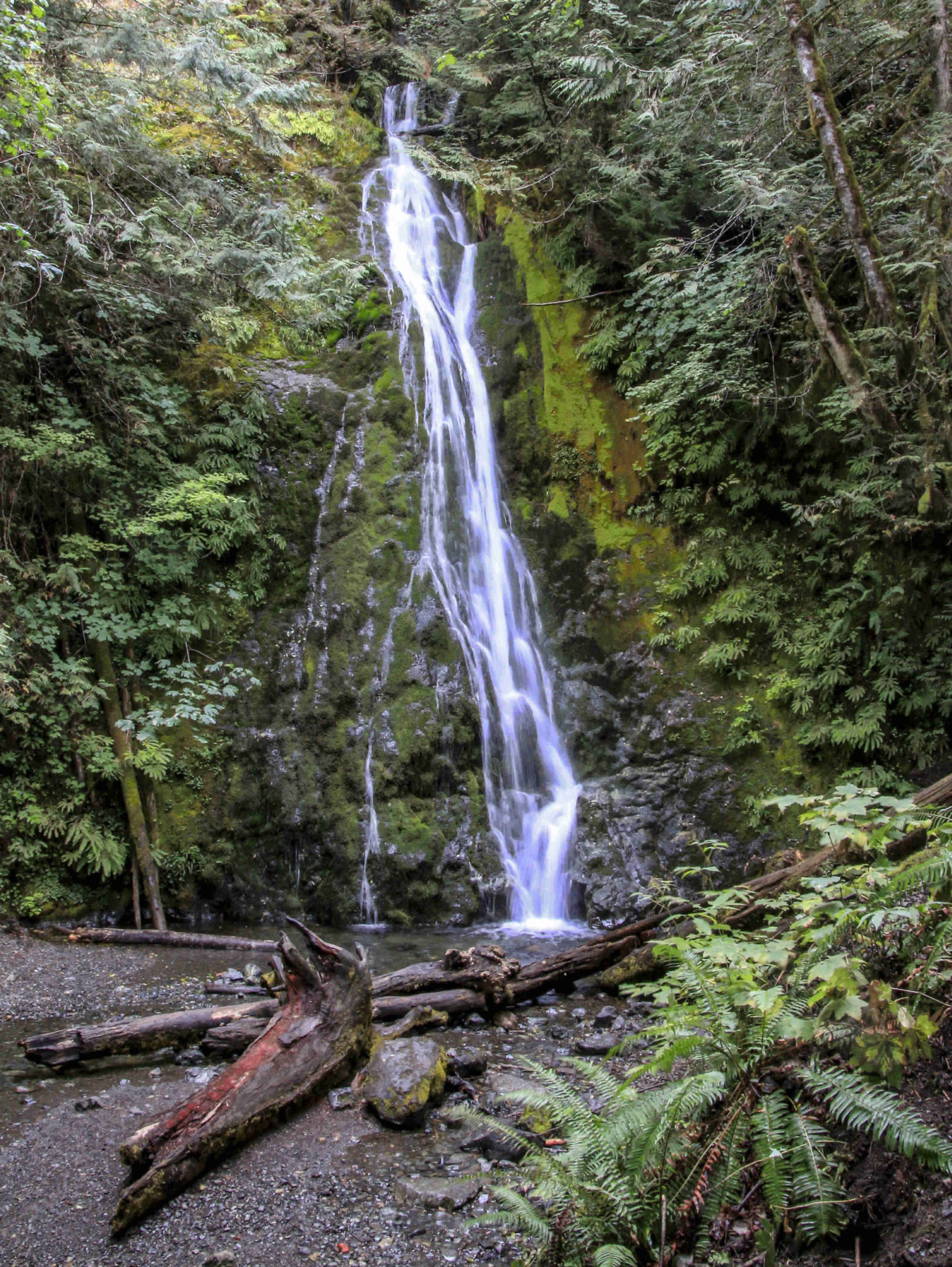 Madison Falls in Olympic National Park