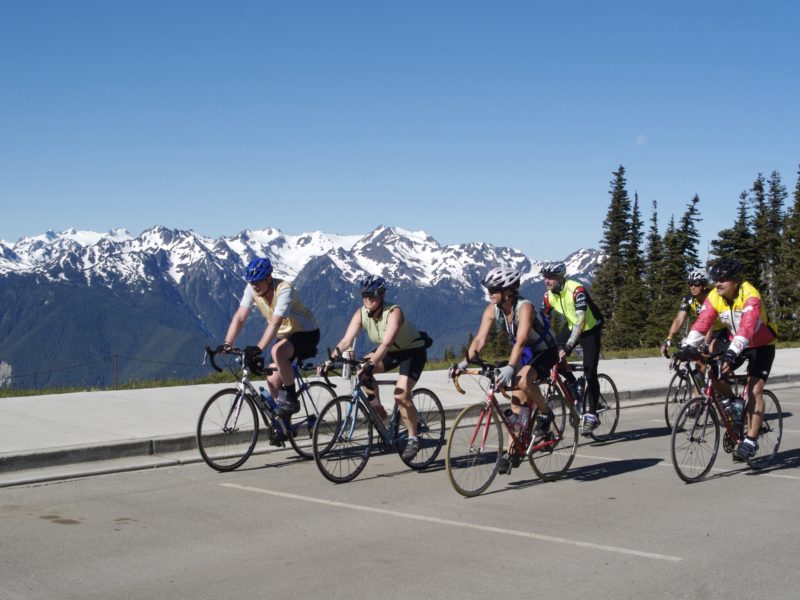Bicyclists with mountains and trees