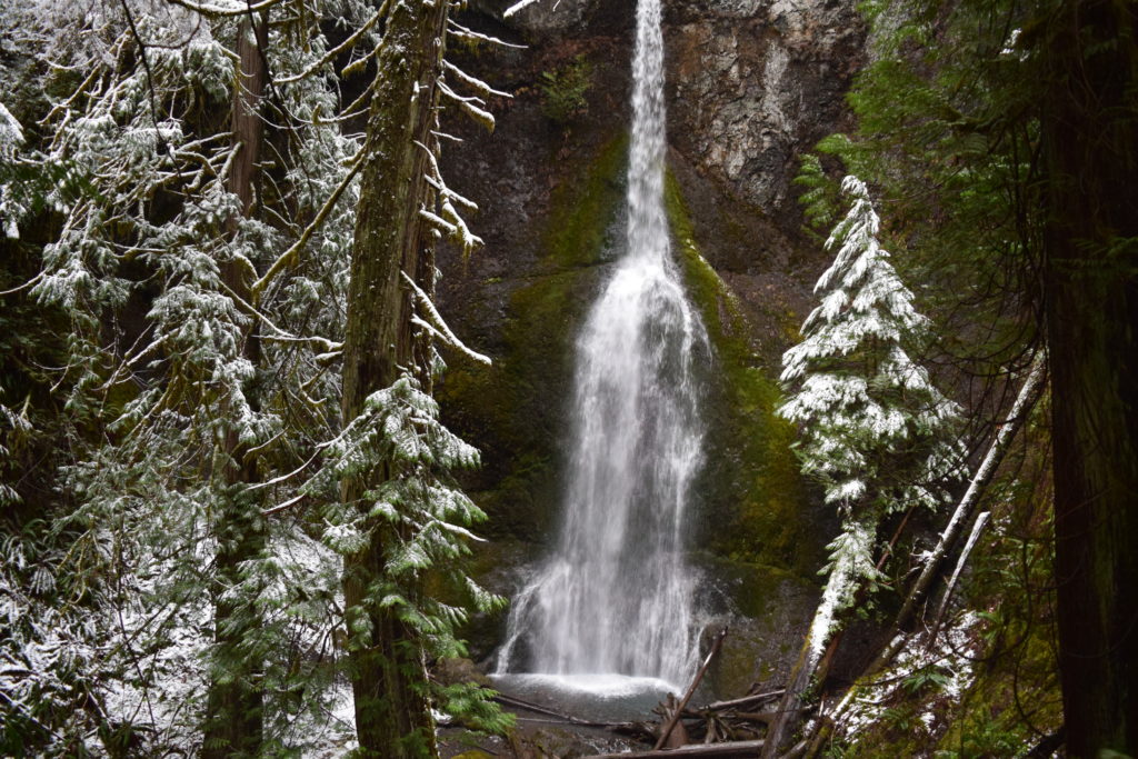 winter at Marymere Falls in Olympic National Park on the Olympic Peninsula
