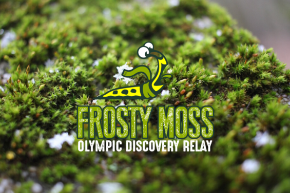 An illustrated slug in front of frosty moss