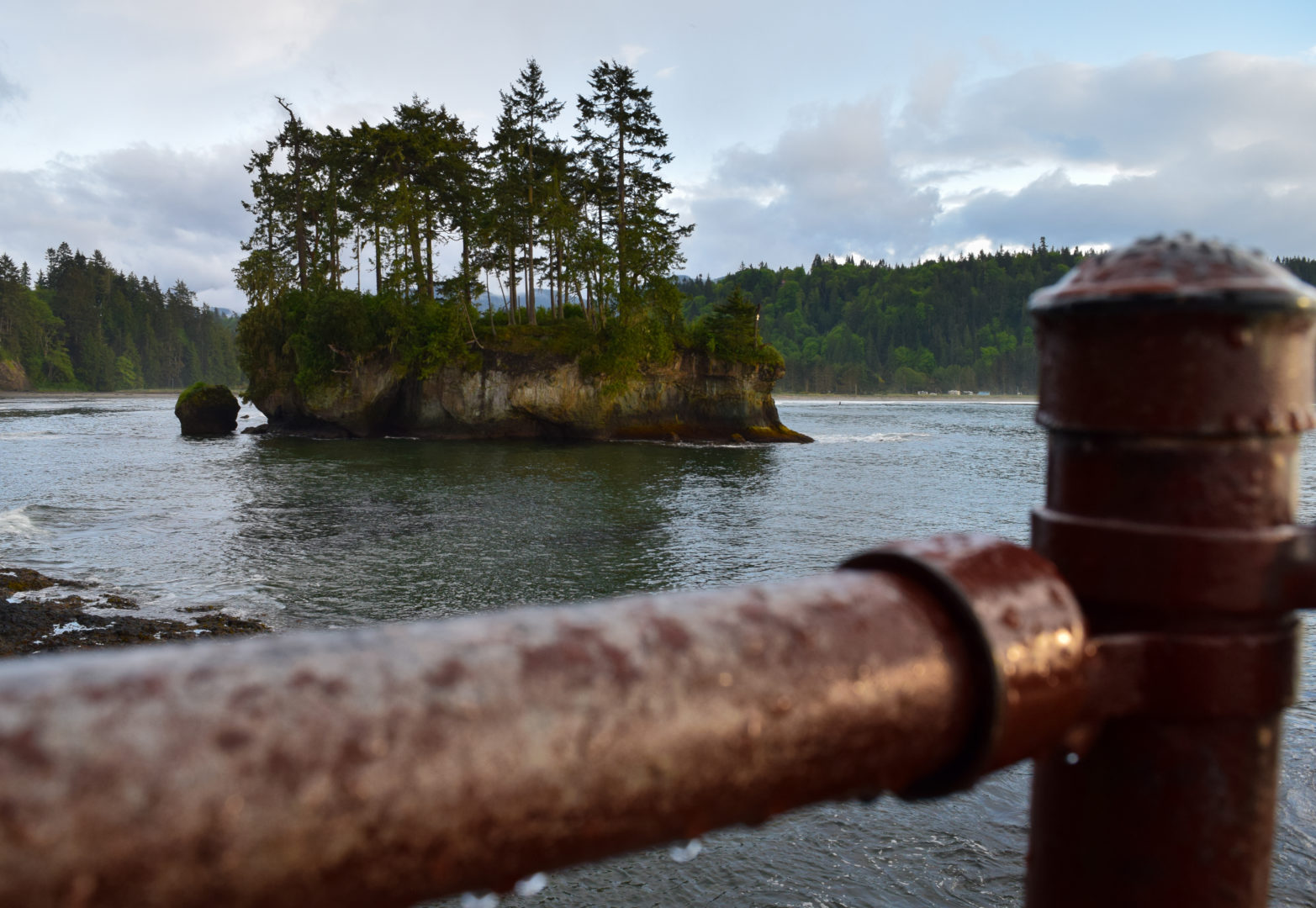 Olympic peninsula winter
