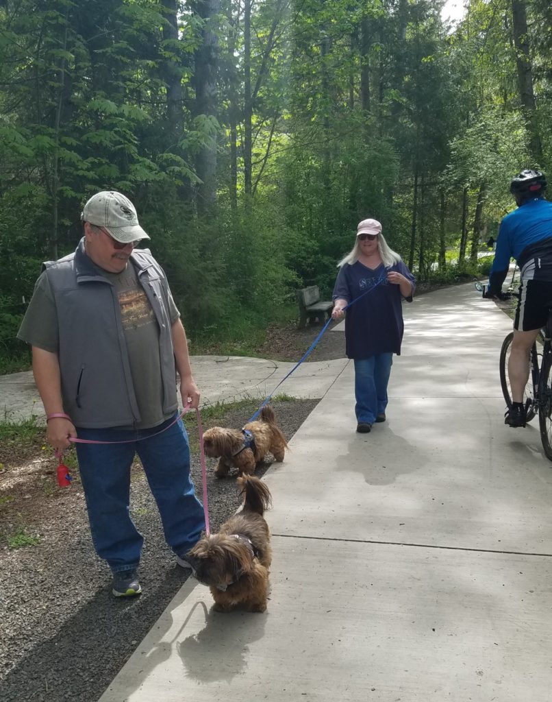 Dogs and people on a trail