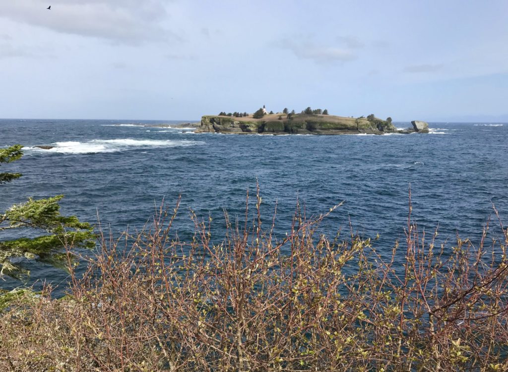 View of Tatoosh Island on the Olympic Peninsula, WA