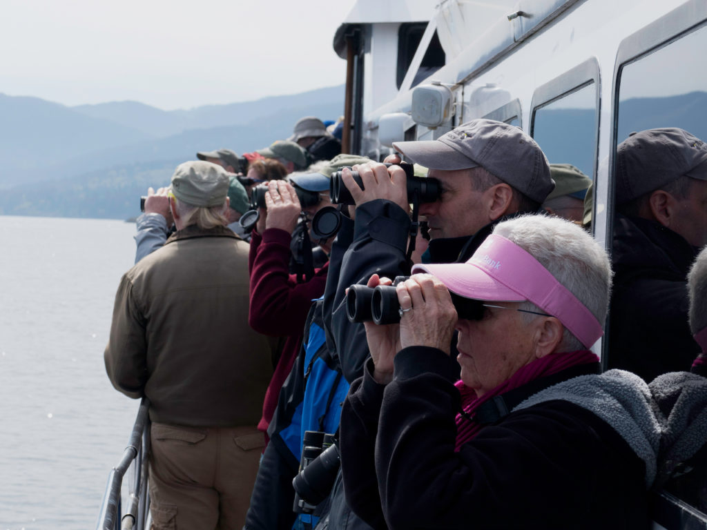 Whale watchers aboard a local tour boat in the Strait of Juan de Fuca