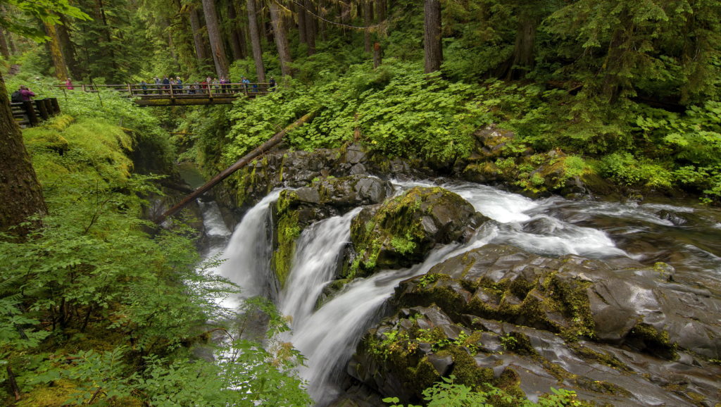 Sol Duc Falls in Olympic National Park