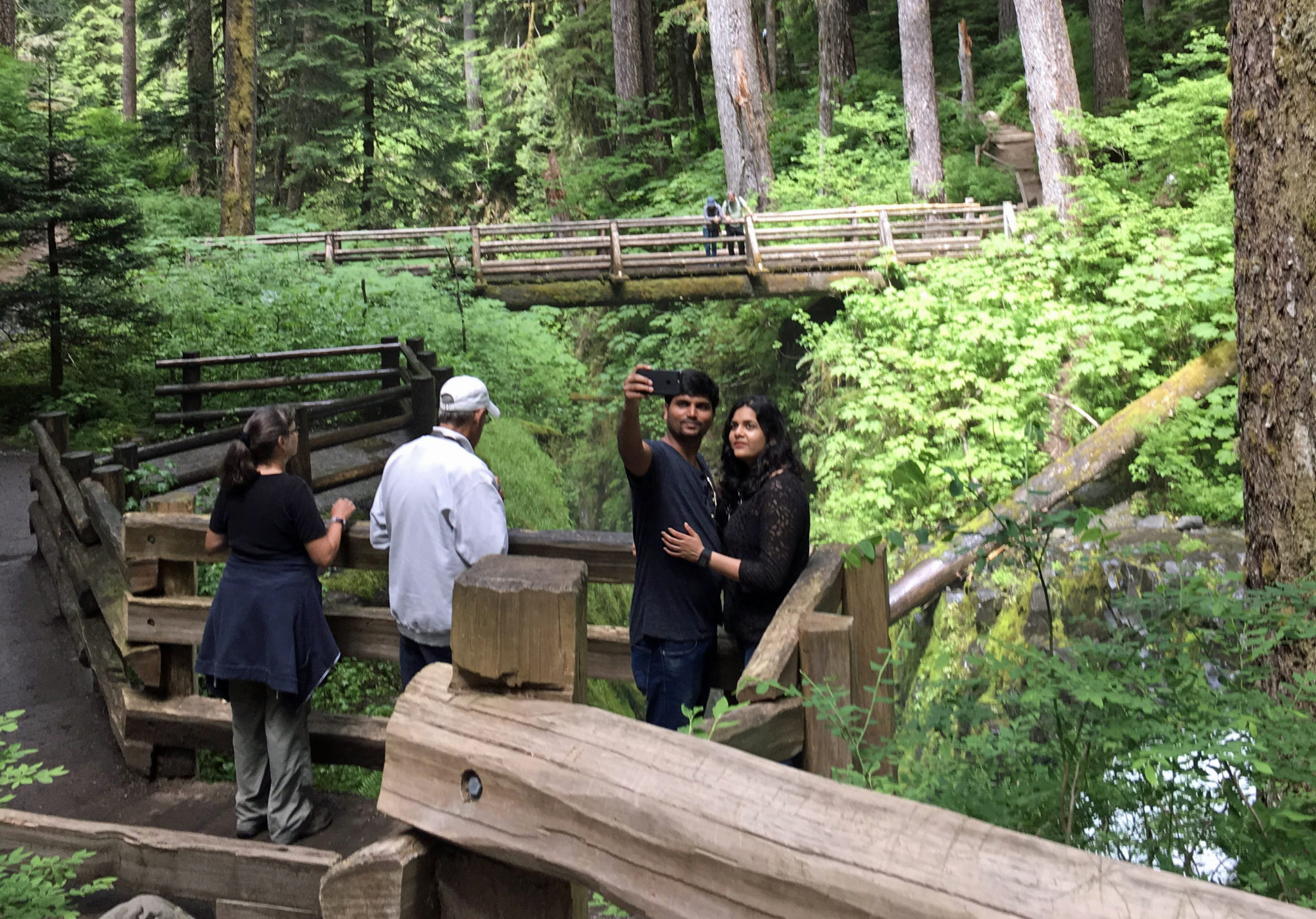 Forks & La Push Olympic Peninsula