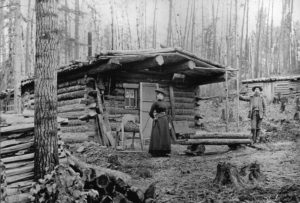 Port Angeles cabin