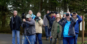 group birding on the olympic peninsula