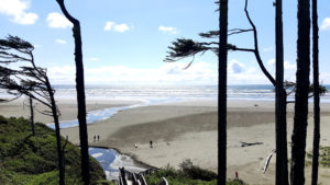 Seabrook mid-coast beach on the Olympic Peninsula