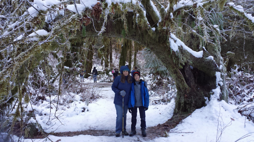 winter at Hoh Rain Forest in Olympic National Park