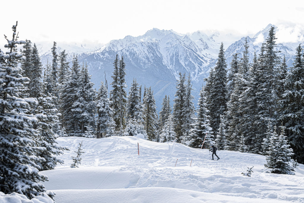 Cross-country skier at Hurricane Ridge in Olympic National Park