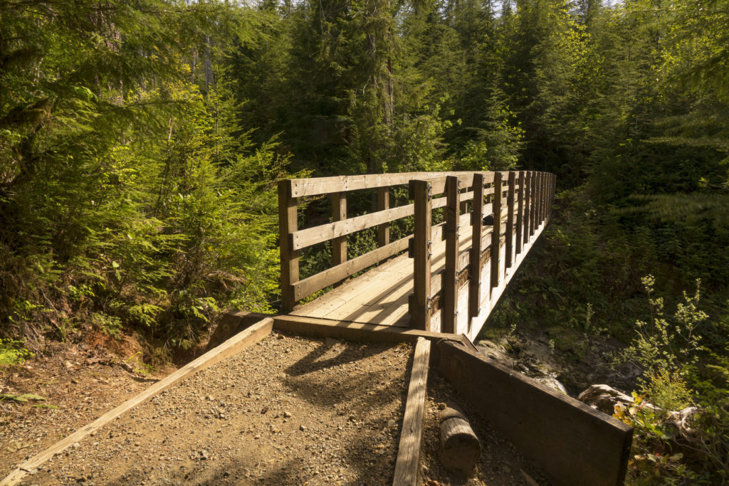 Wooden bridge trail in Gatton Creek