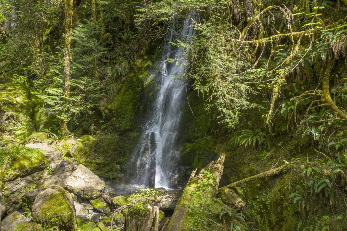 Olympic peninsula waterfalls