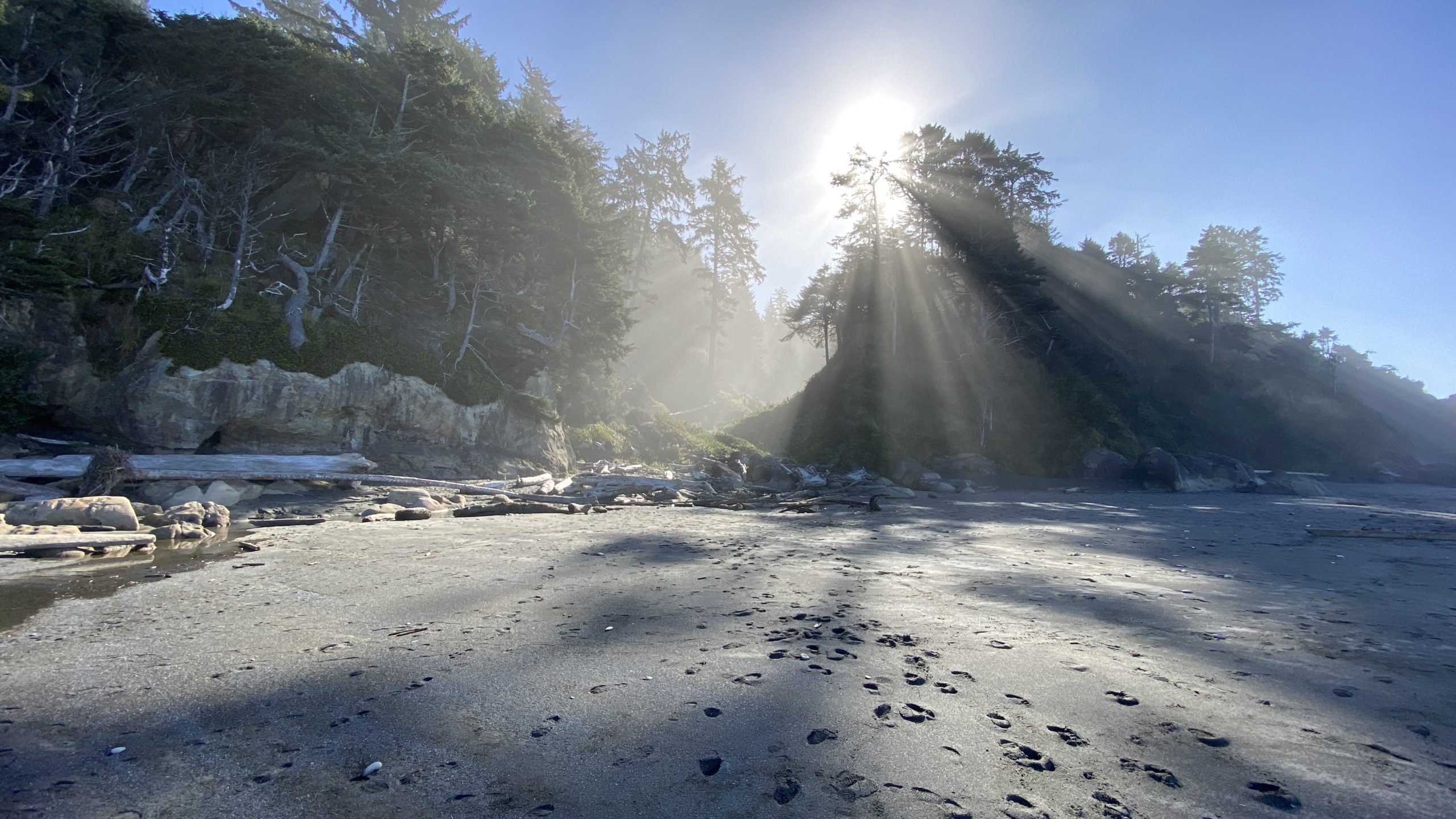 The Best Uncrowded Beaches On The Olympic Peninsula, WA