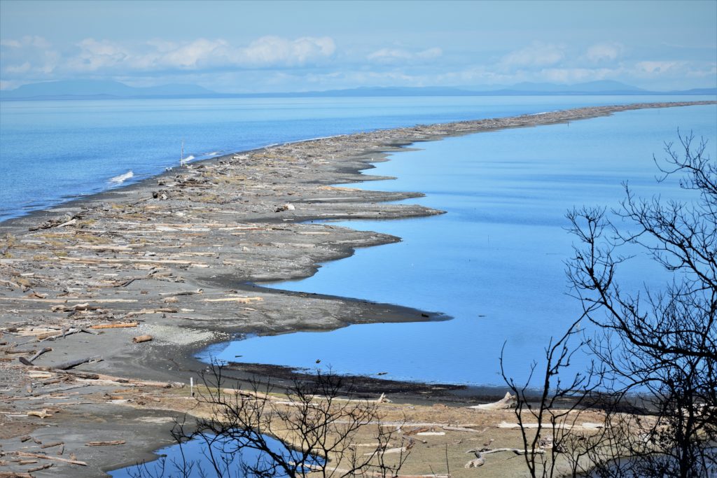 10 beaches on the olympic peninsula - Dungeness Spit Beach