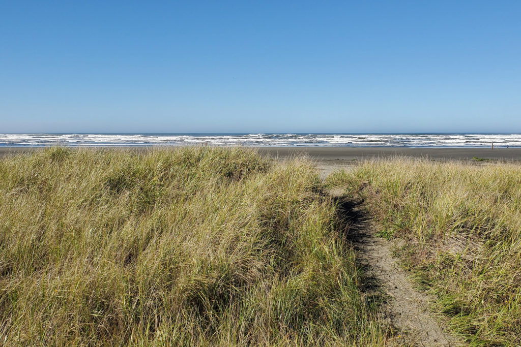 10 beaches on the olympic peninsula - Pacific Beach State Park