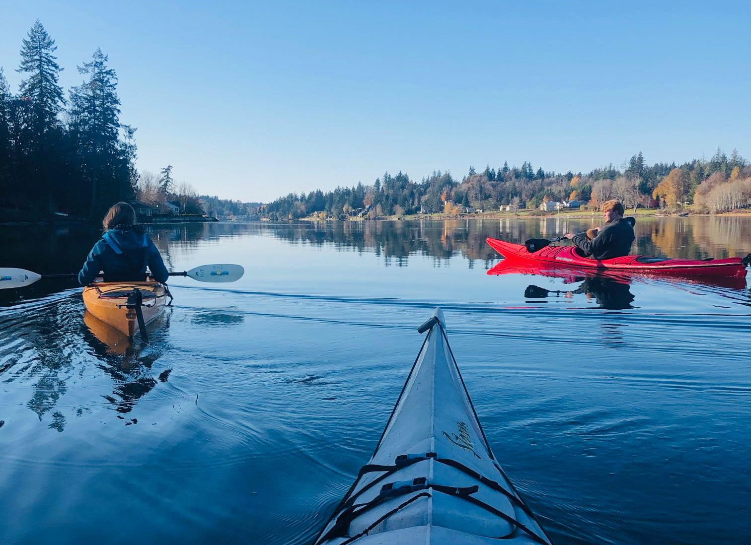 Top 10 Adventures & Things To Do on the Hood Canal, WA