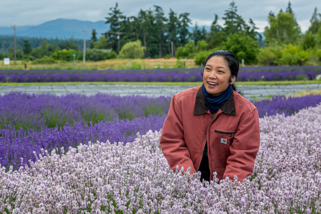 Sequim Lavender Weekend The Olympic Peninsula, WA