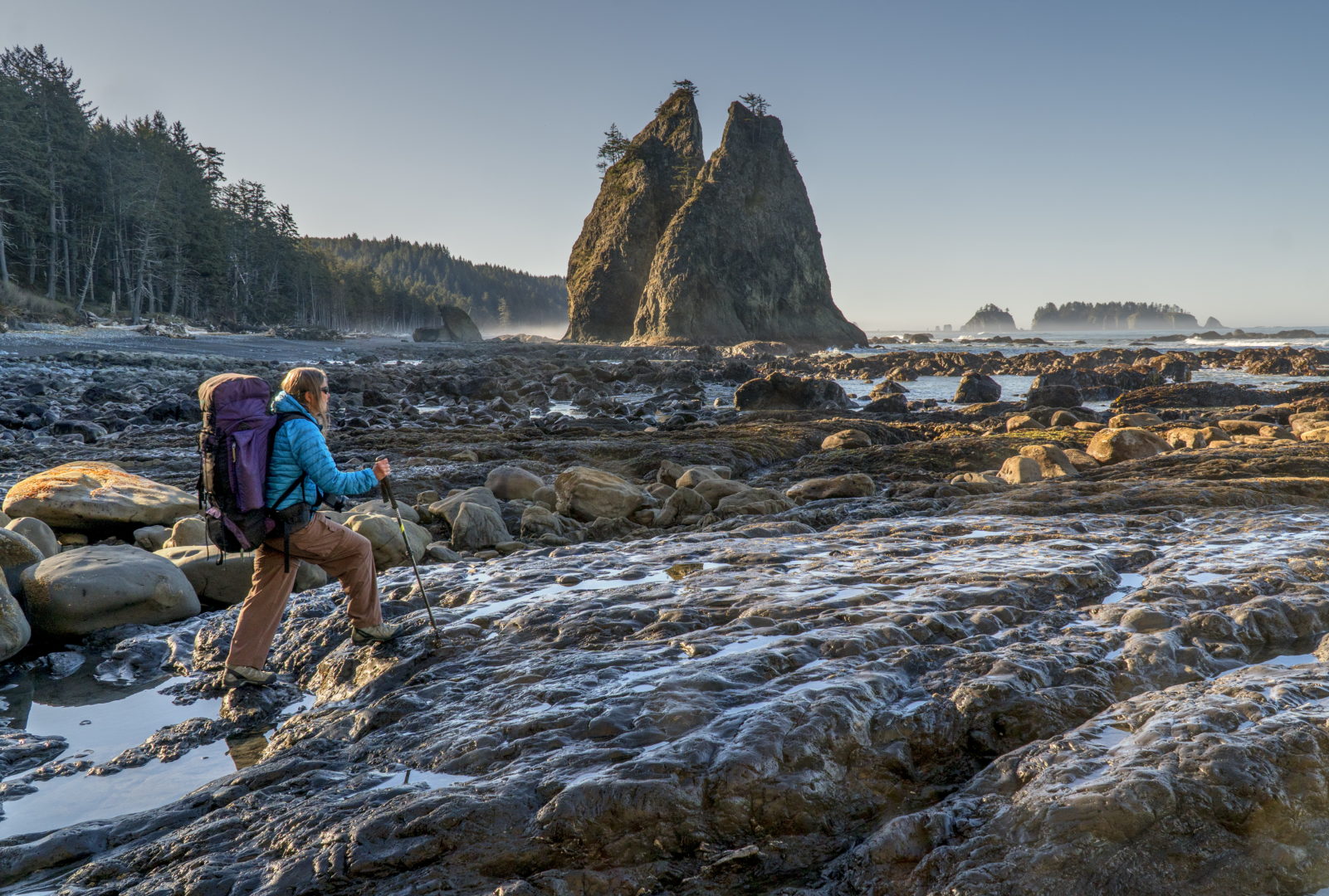 Craigslist Olympic Peninsula Washington Listings And Marketplace