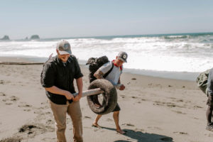 Washington Coast Cleanup