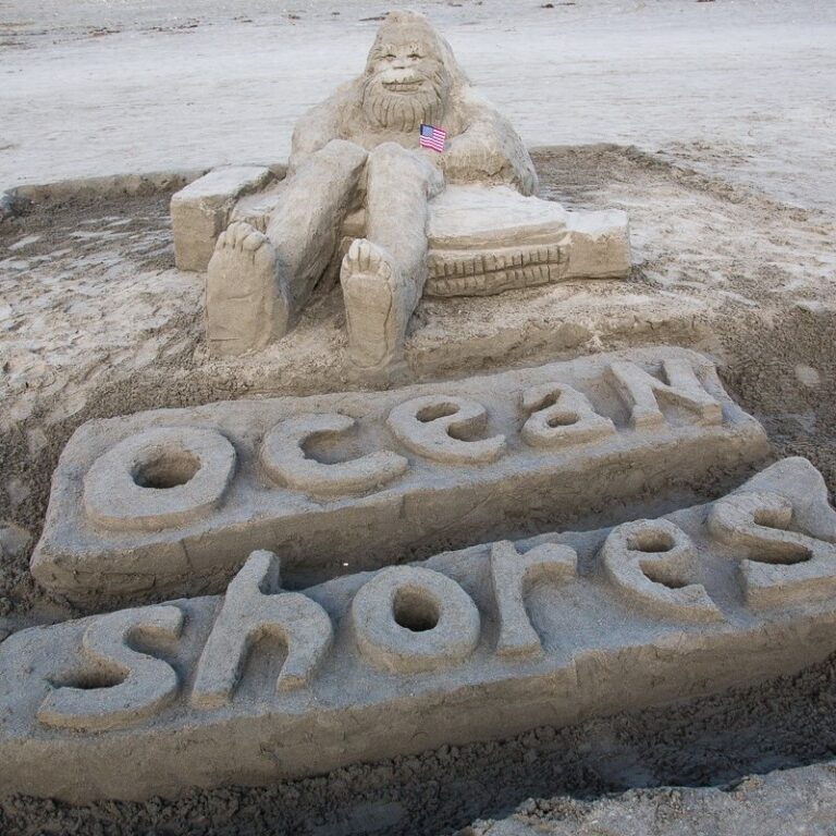 Five Star Dealership's Sand & Sawdust Festival - The Olympic Peninsula, WA