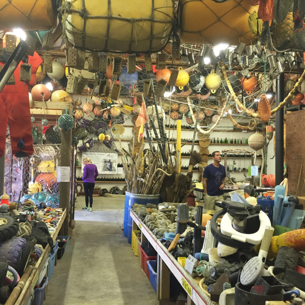 Objects on display inside John's Beachcombing Museum