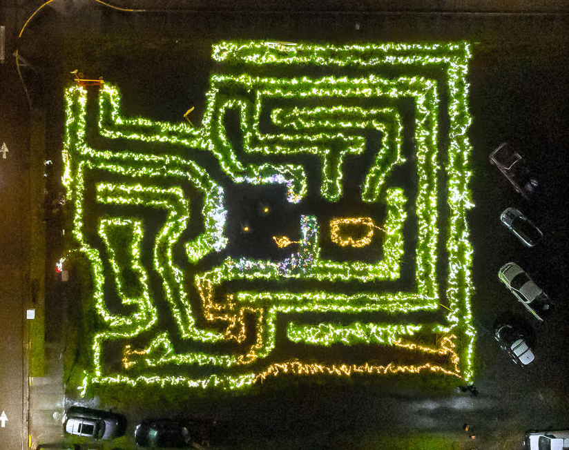 Christmastown Tree Maze in the shape of Washington State