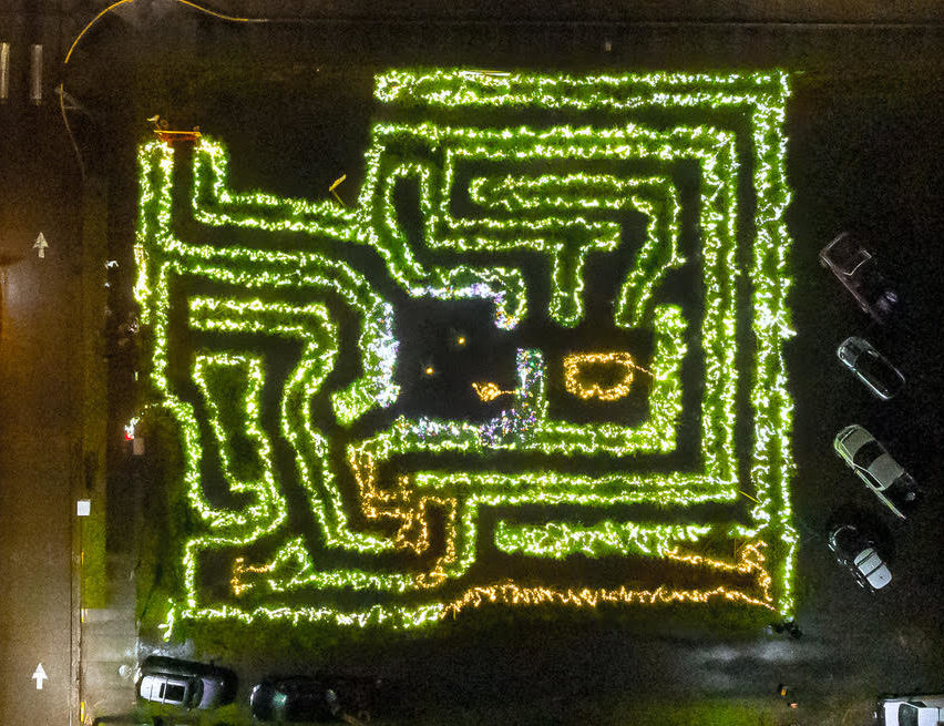 Christmastown Tree Maze in the shape of Washington State